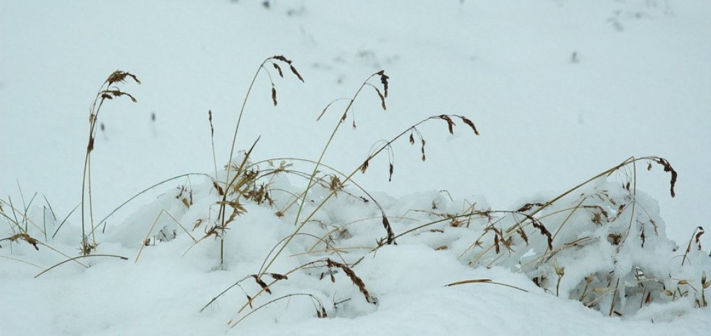 Na Kasprowym śnieg