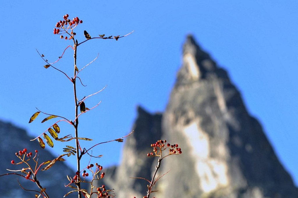 Morskie Oko: Tatry w barwach jesieni