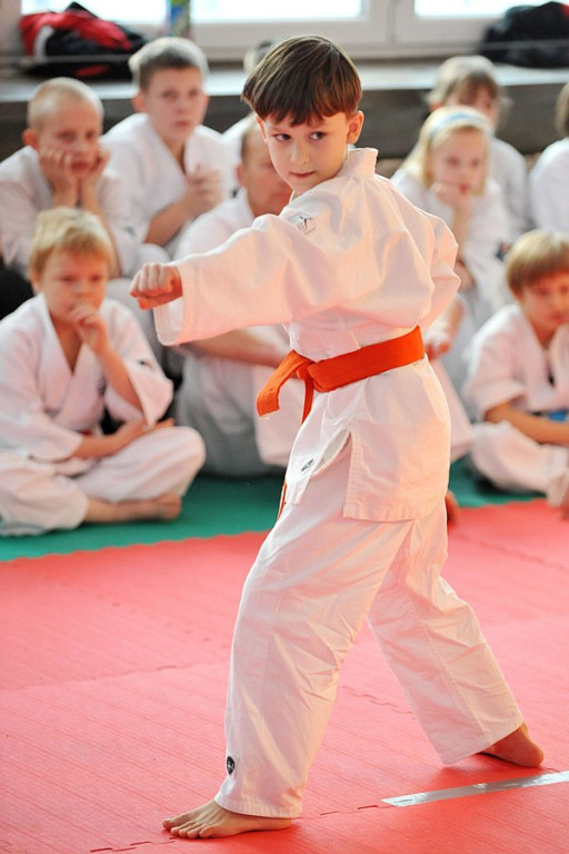„Karate kids” opanowały Kościelisko