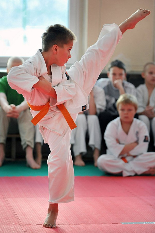 „Karate kids” opanowały Kościelisko