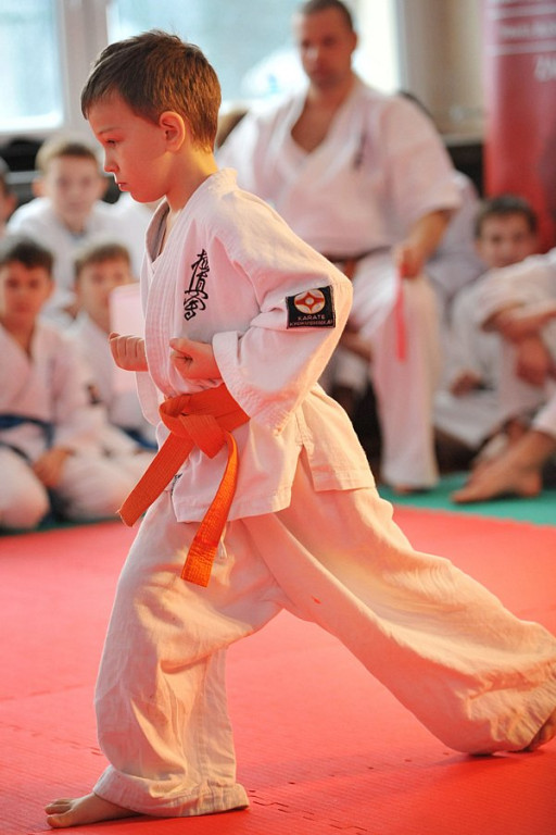 „Karate kids” opanowały Kościelisko