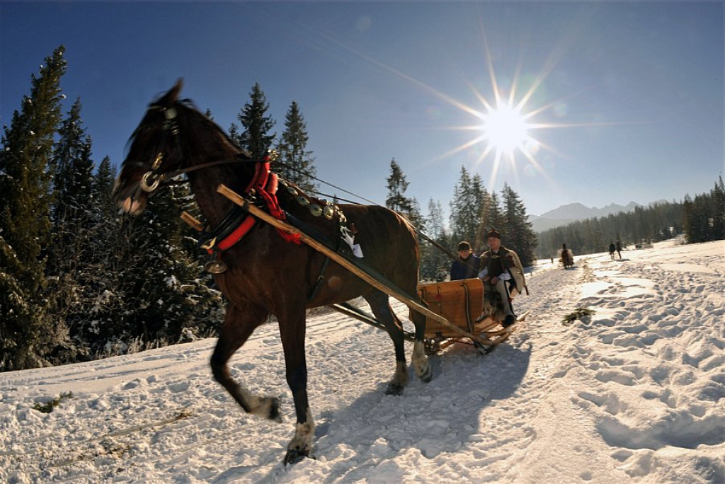 Małe Ciche: Parada Gazdowska i Kumoterska Gońba