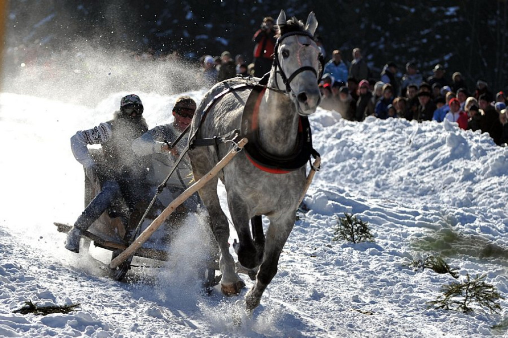 Małe Ciche: Parada Gazdowska i Kumoterska Gońba