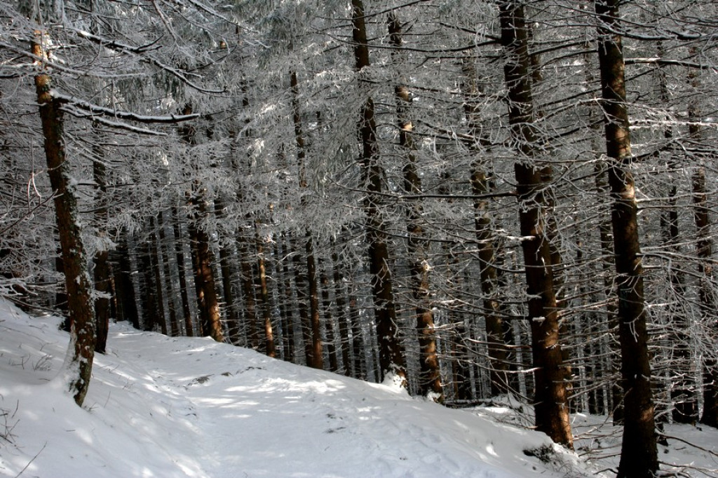 Tatry: Słońce walczy z chmurami