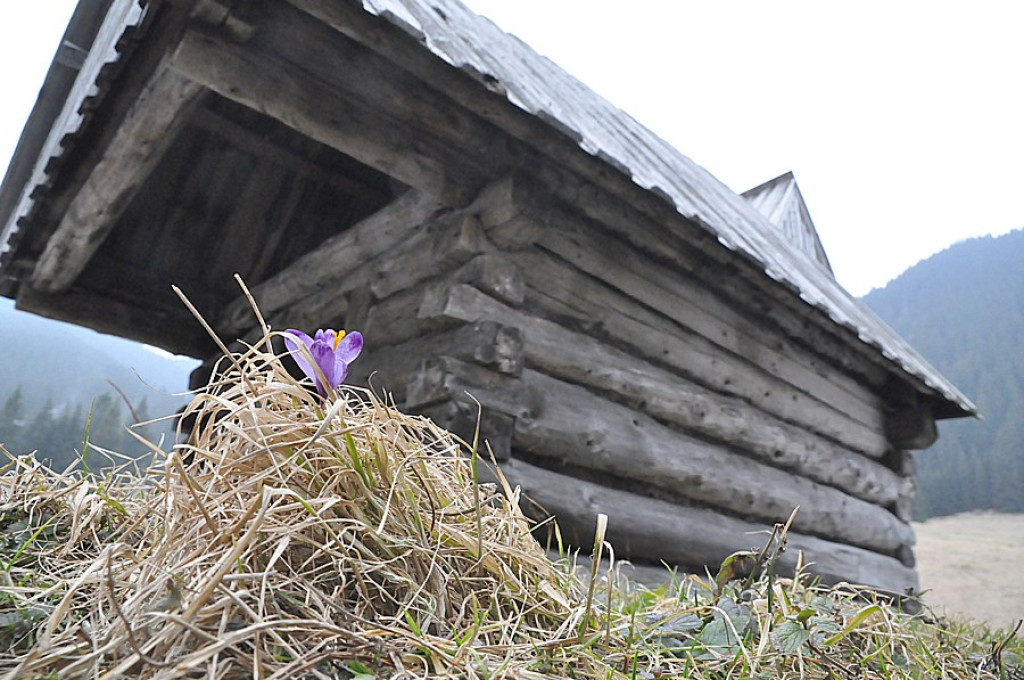 Tatry: Walka wiosny z zimą