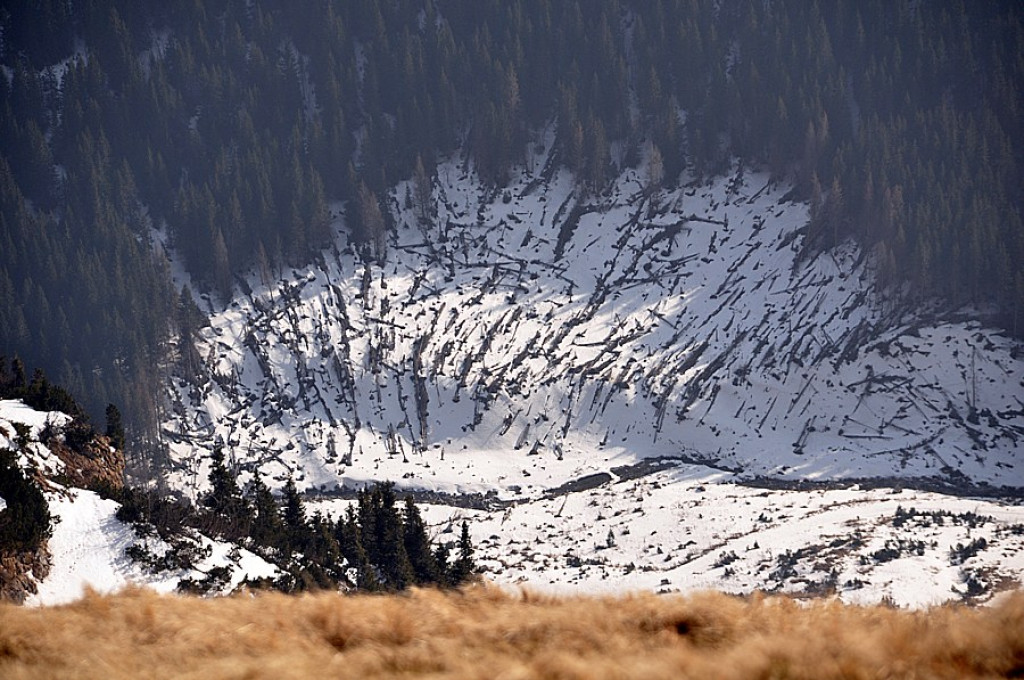 Tatry: Walka wiosny z zimą