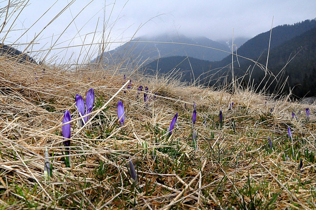 Tatry: Walka wiosny z zimą