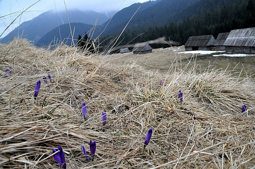 Tatry: Walka wiosny z zimą
