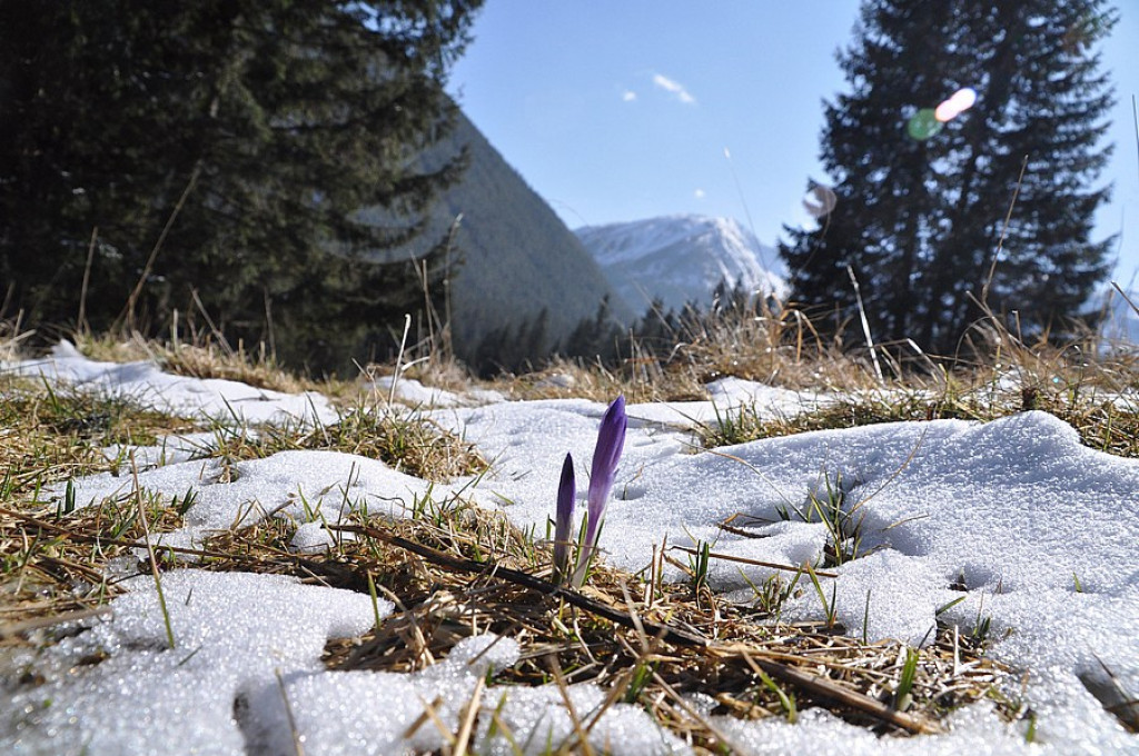Tatry: Walka wiosny z zimą