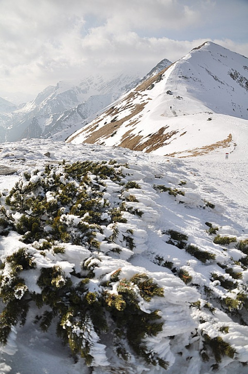 Tatry: Walka wiosny z zimą