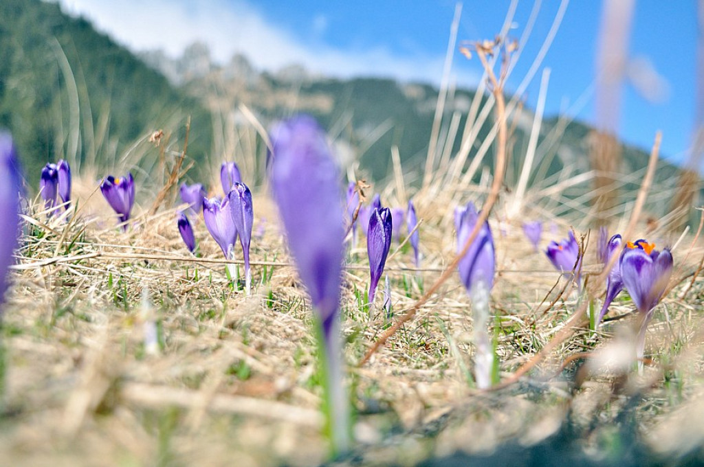 Tatry: Walka wiosny z zimą