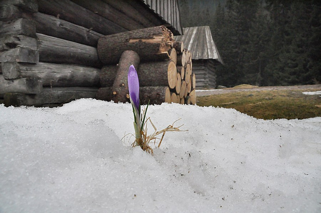 Tatry: Walka wiosny z zimą