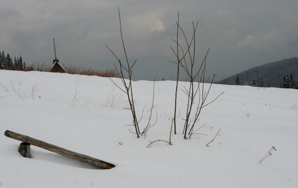 Tatry: Zima nie daje za wygraną