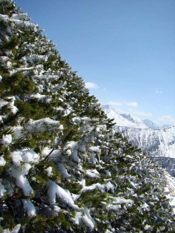 Tatry w wiosenno-zimowej odsłonie
