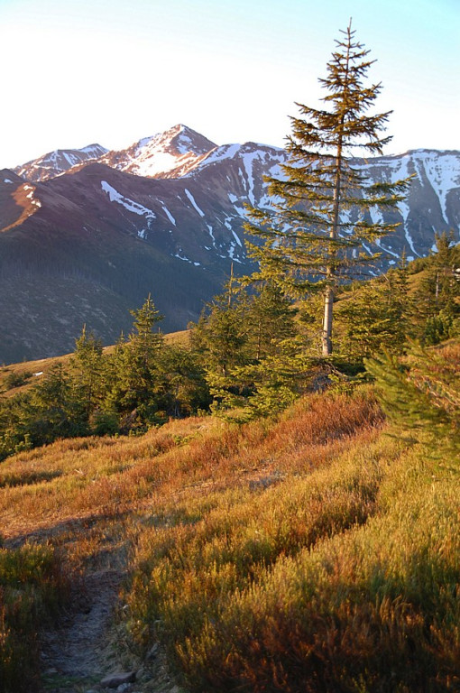 Tatry Zachodnie: Wschód słońca na Grzesiu