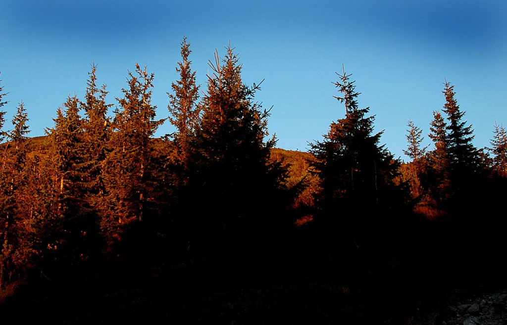 Tatry Zachodnie: Wschód słońca na Grzesiu