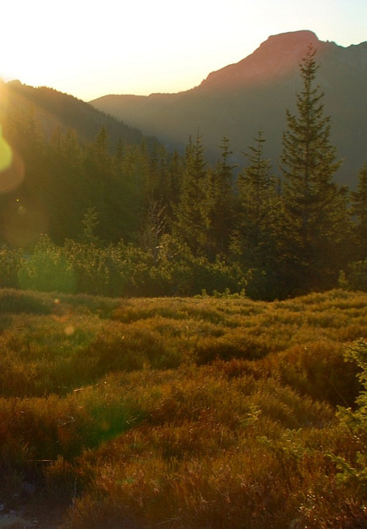 Tatry Zachodnie: Wschód słońca na Grzesiu