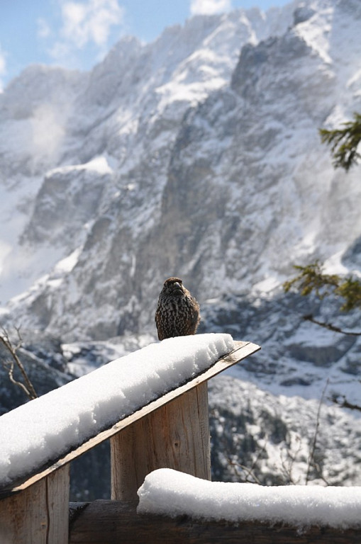 Morskie Oko i Czarny Staw wiosną