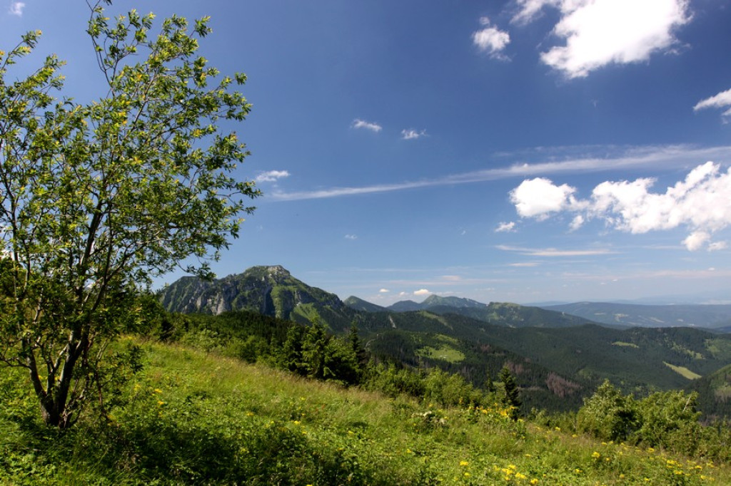 Czerwone Wierchy w zielonej szacie