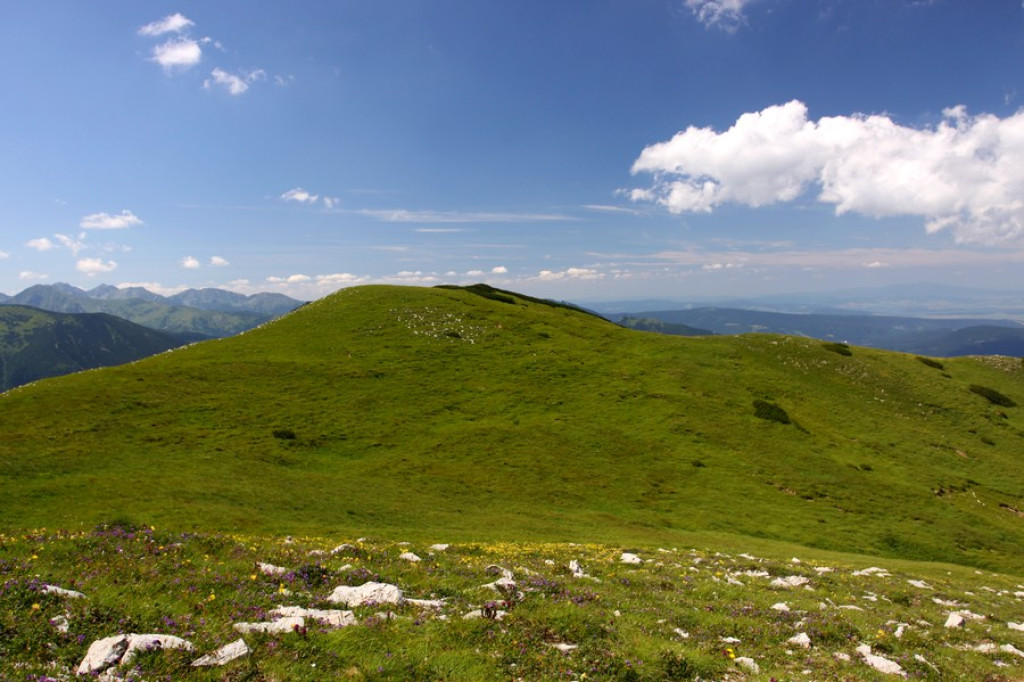 Czerwone Wierchy w zielonej szacie