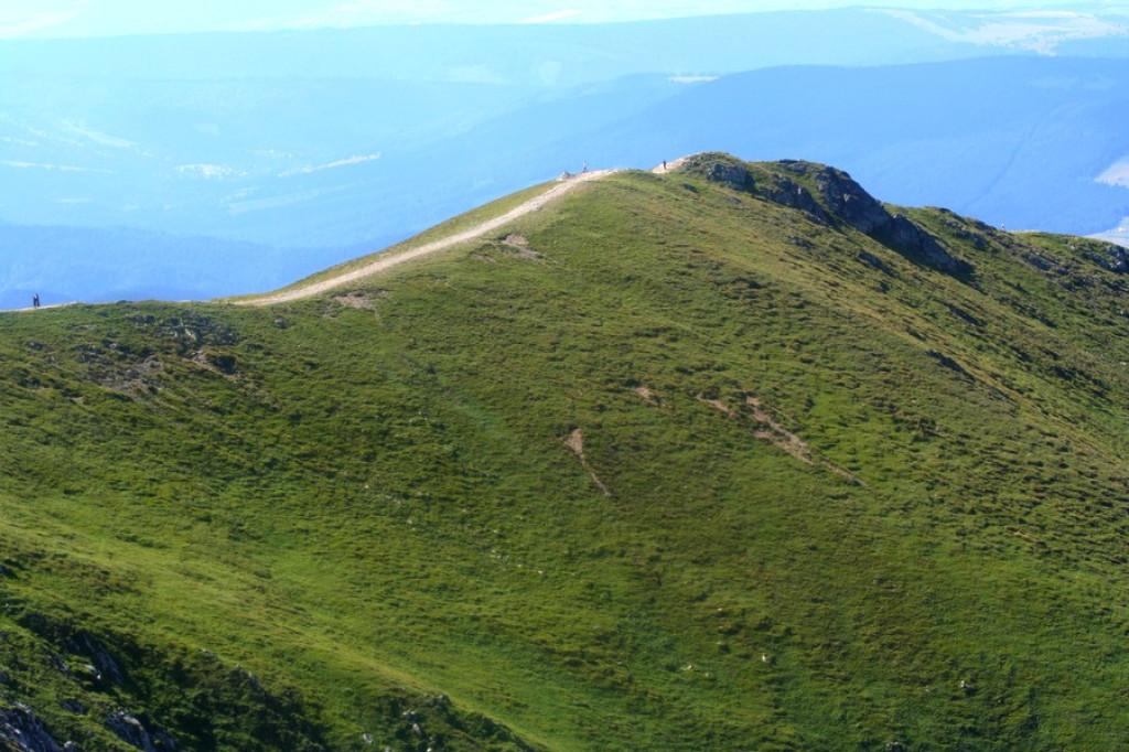 Czerwone Wierchy w zielonej szacie