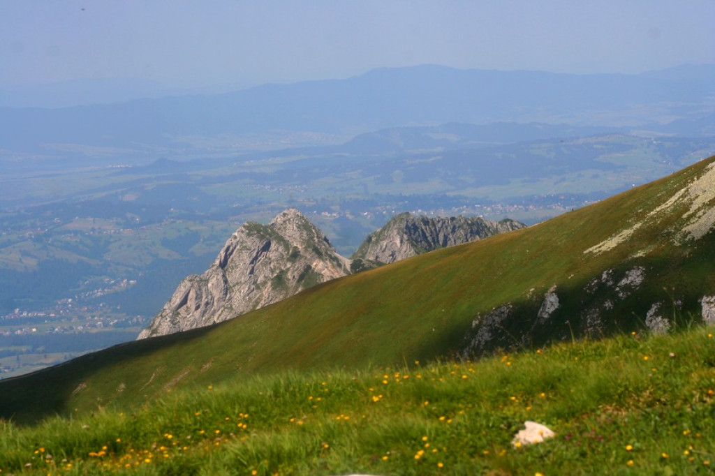 Czerwone Wierchy w zielonej szacie