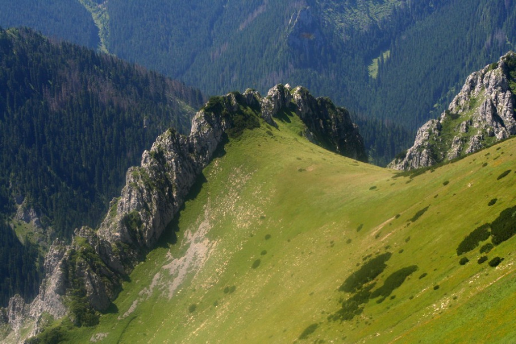 Czerwone Wierchy w zielonej szacie