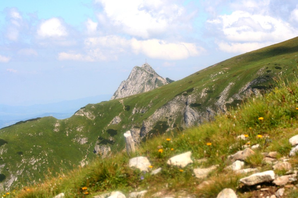 Czerwone Wierchy w zielonej szacie