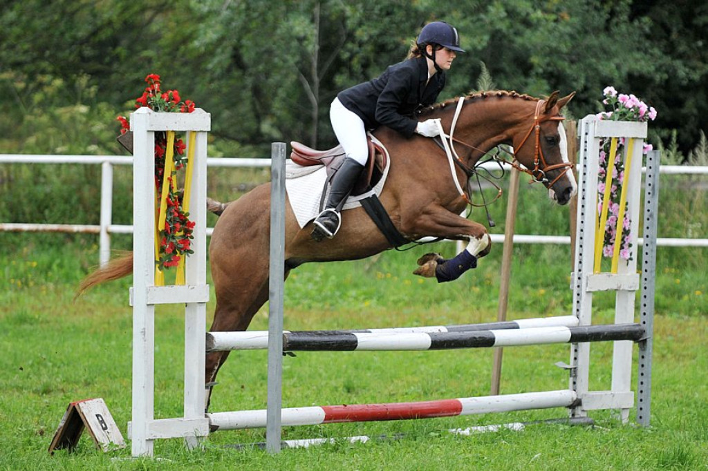 Łopuszna: Końskie skakanie i zrywka drzewa