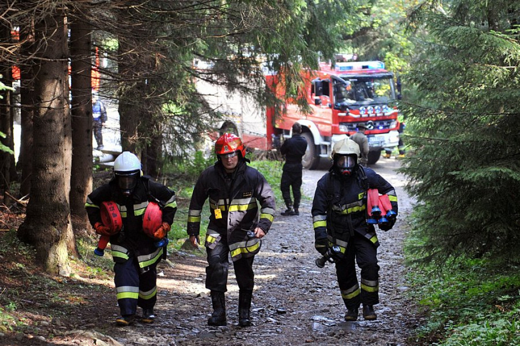 Pożar u Albertynek