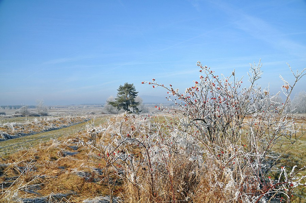 Szlachetne barwy ziemi