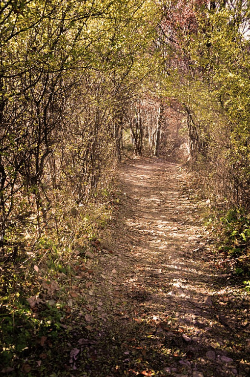 Szlachetne barwy ziemi
