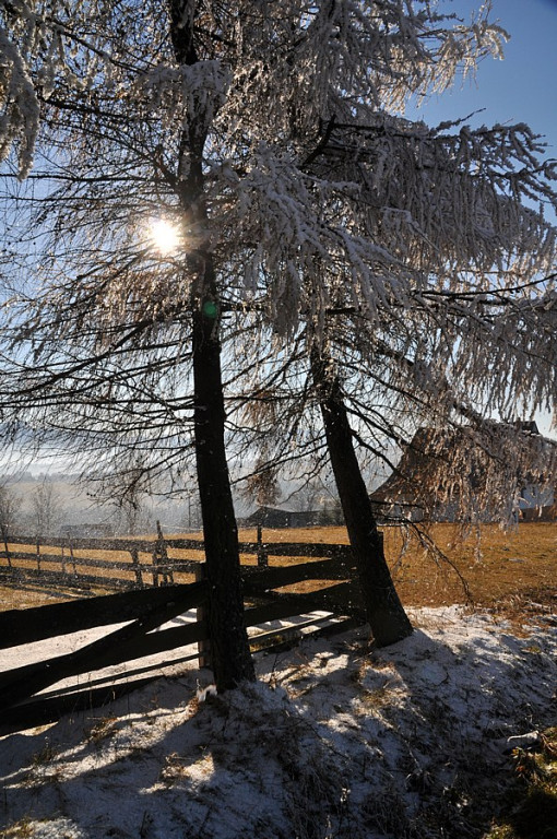 Szlachetne barwy ziemi