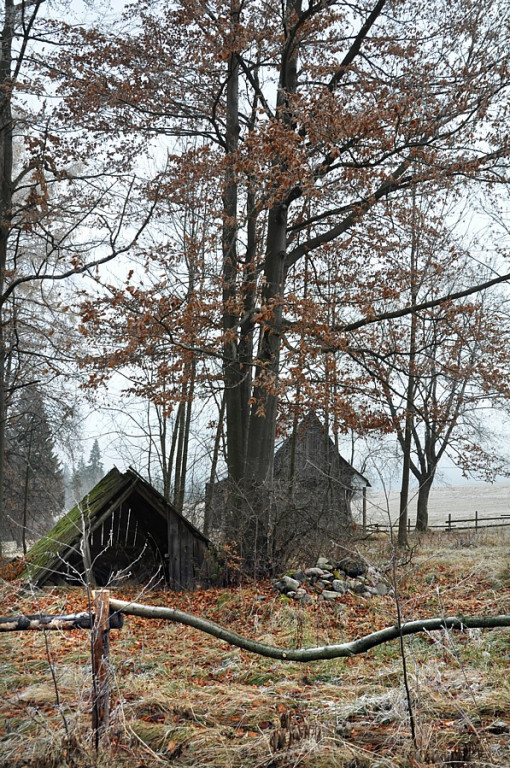 Szlachetne barwy ziemi