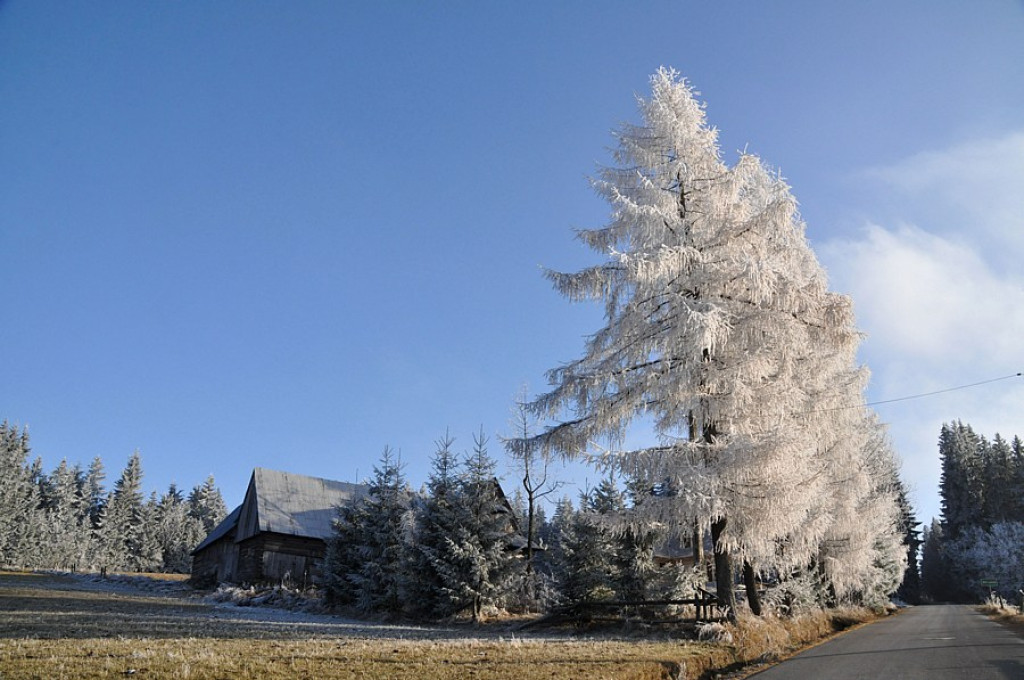Szlachetne barwy ziemi