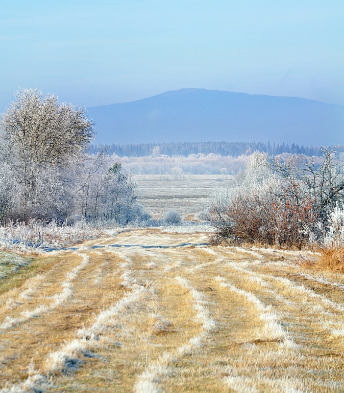 Szlachetne barwy ziemi