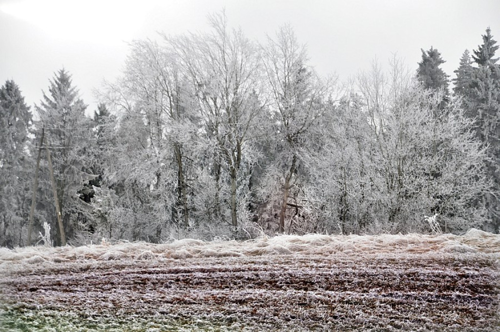 Szlachetne barwy ziemi