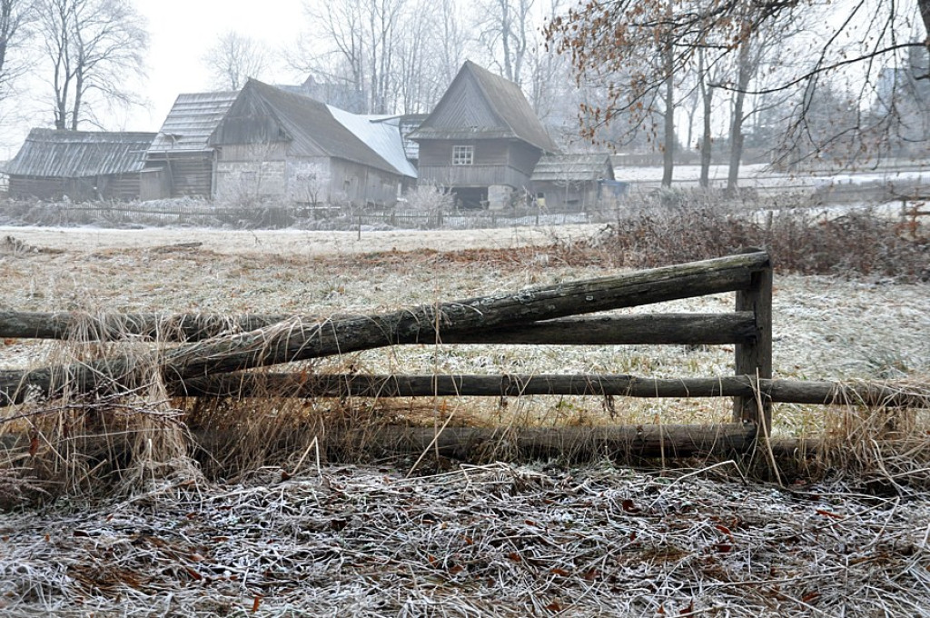 Szlachetne barwy ziemi