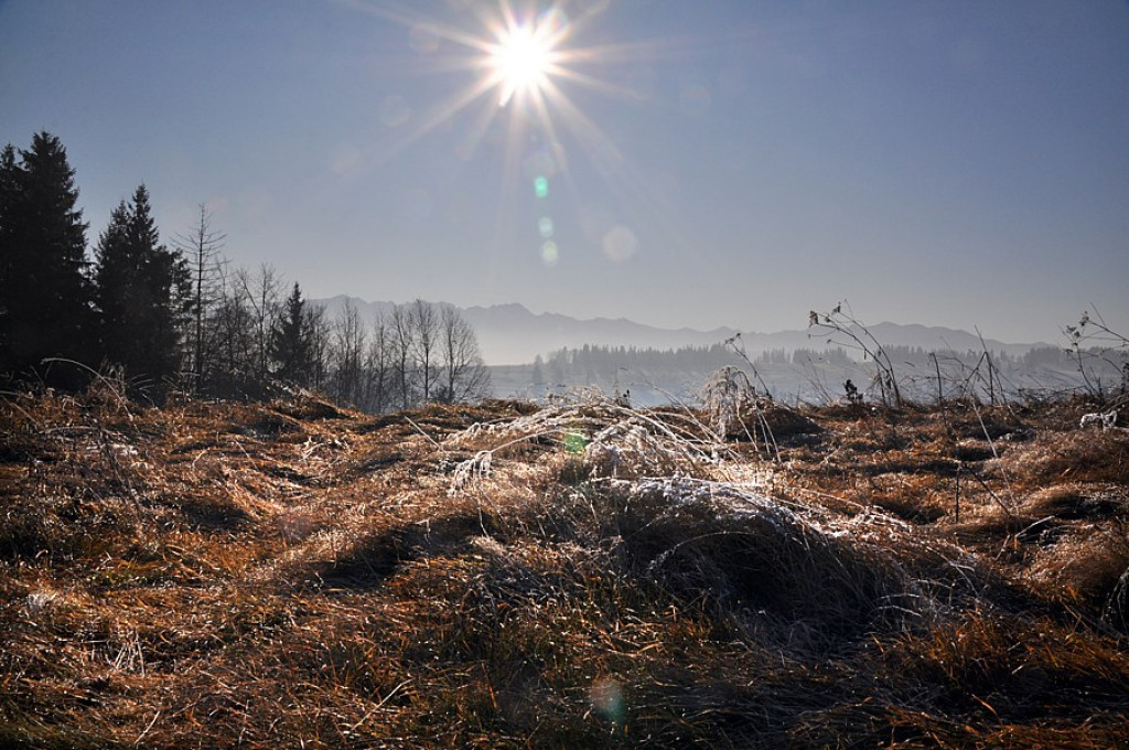 Szlachetne barwy ziemi