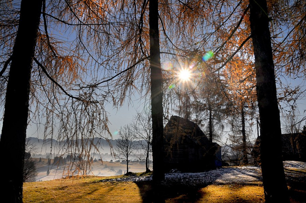 Szlachetne barwy ziemi