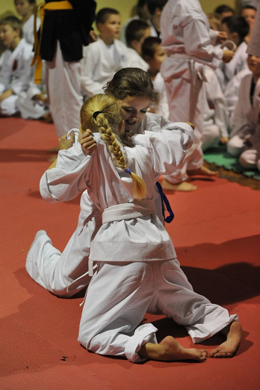 Jiu Jitsu: Turniej mikołajkowy dla dzieci