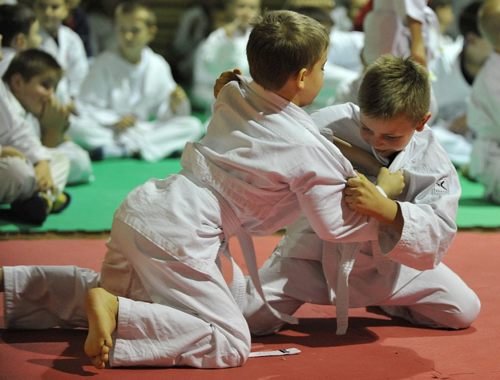 Jiu Jitsu: Turniej mikołajkowy dla dzieci