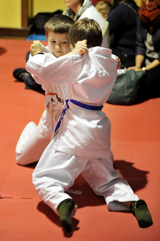Jiu Jitsu: Turniej mikołajkowy dla dzieci