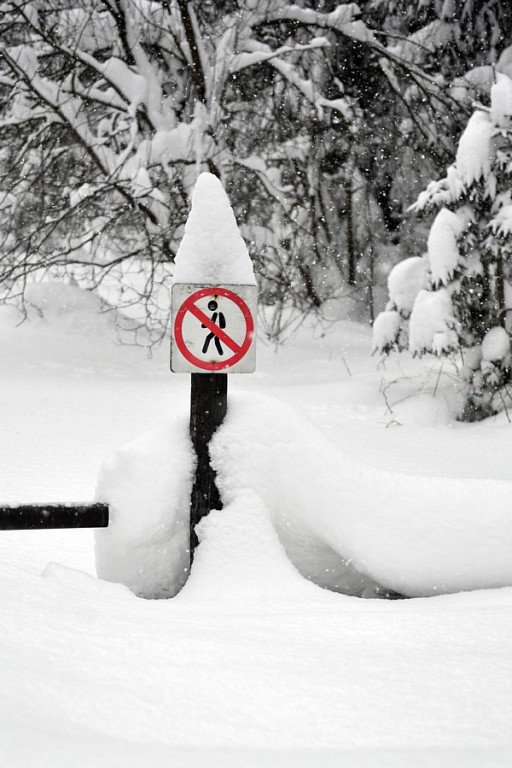 Śnieżny weekend. Długo czekaliśmy na zimę, ale wreszcie przyszła