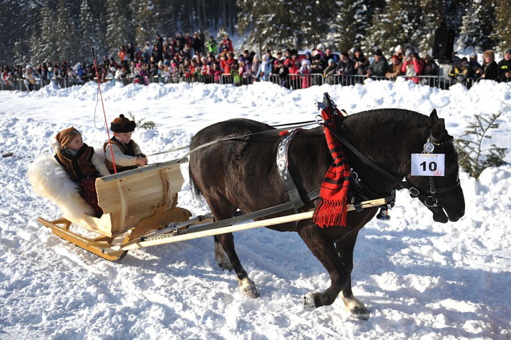 Parada Gazdowska i Kumotersko Gońba w Małem Cichem
