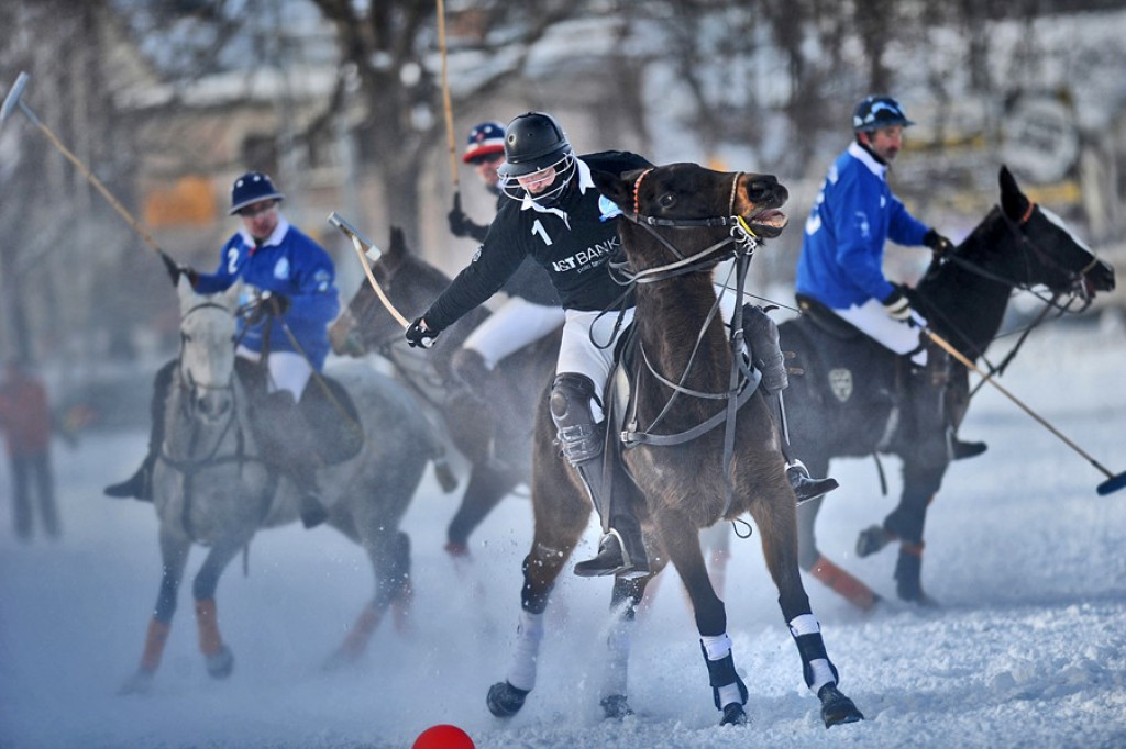 Polo na śniegu