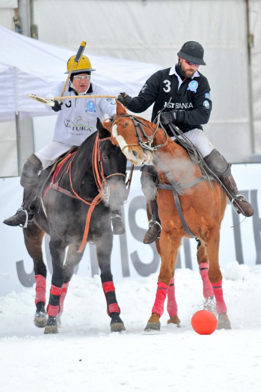 Polo na śniegu