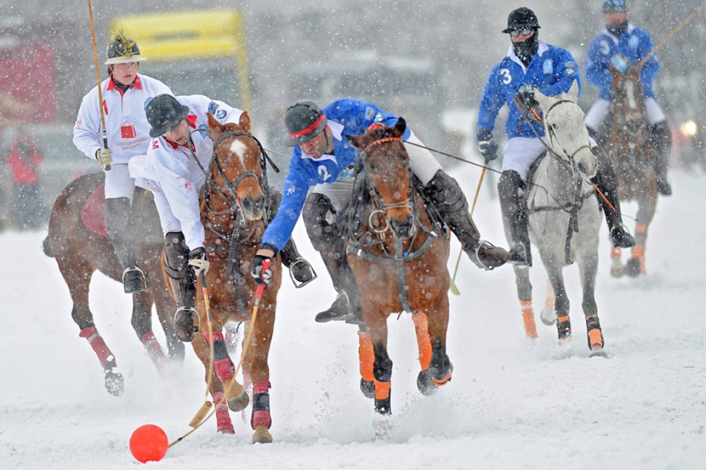 Polo na śniegu
