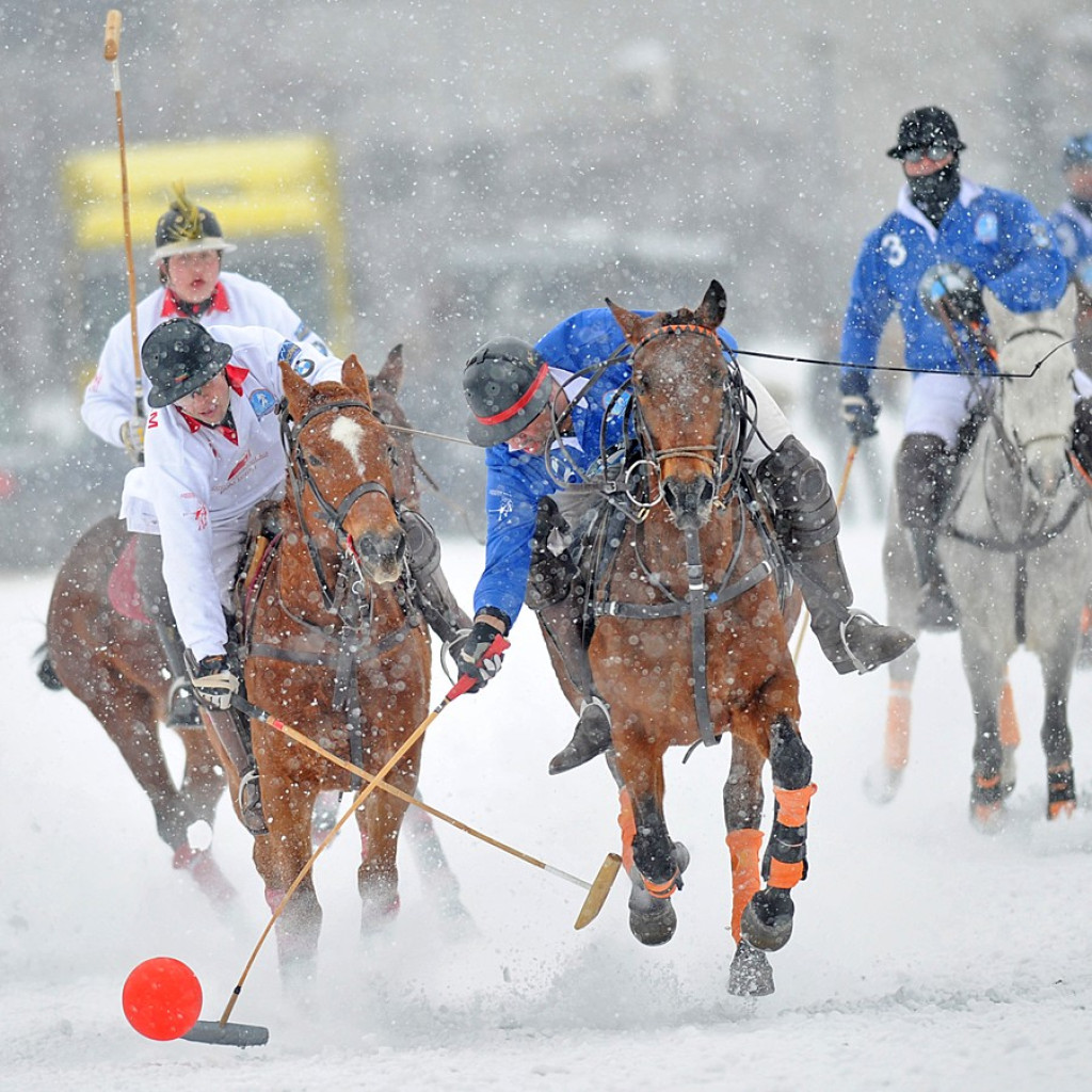 Polo na śniegu