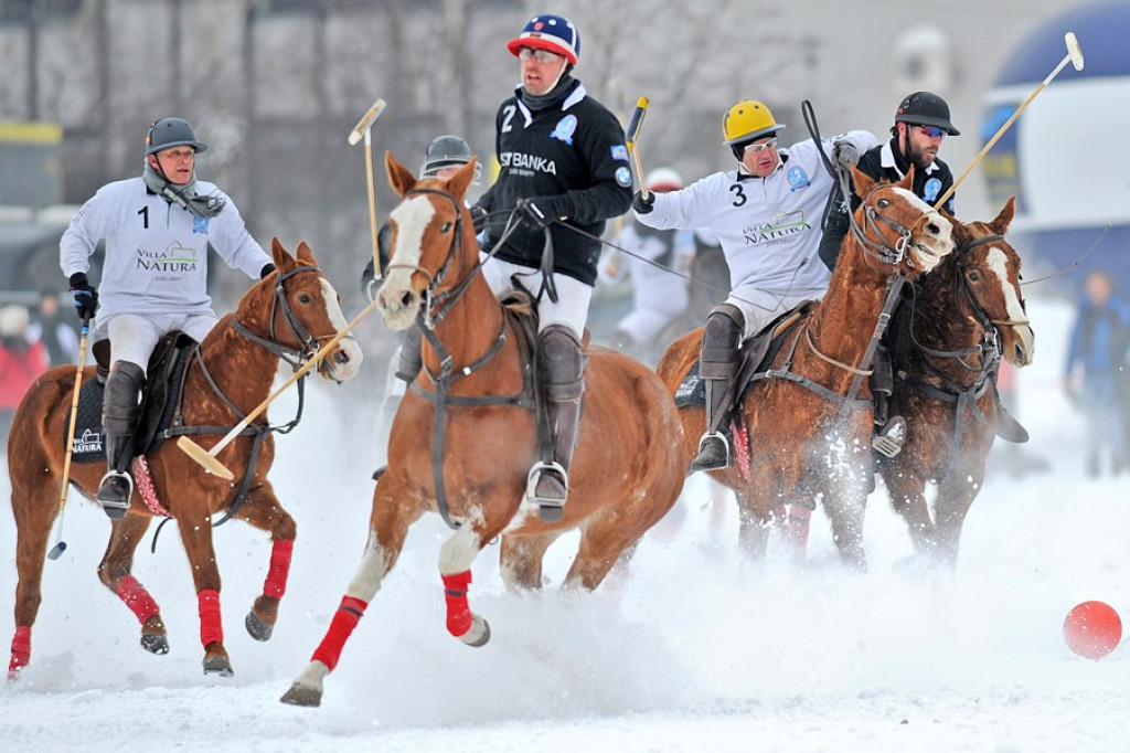 Polo na śniegu